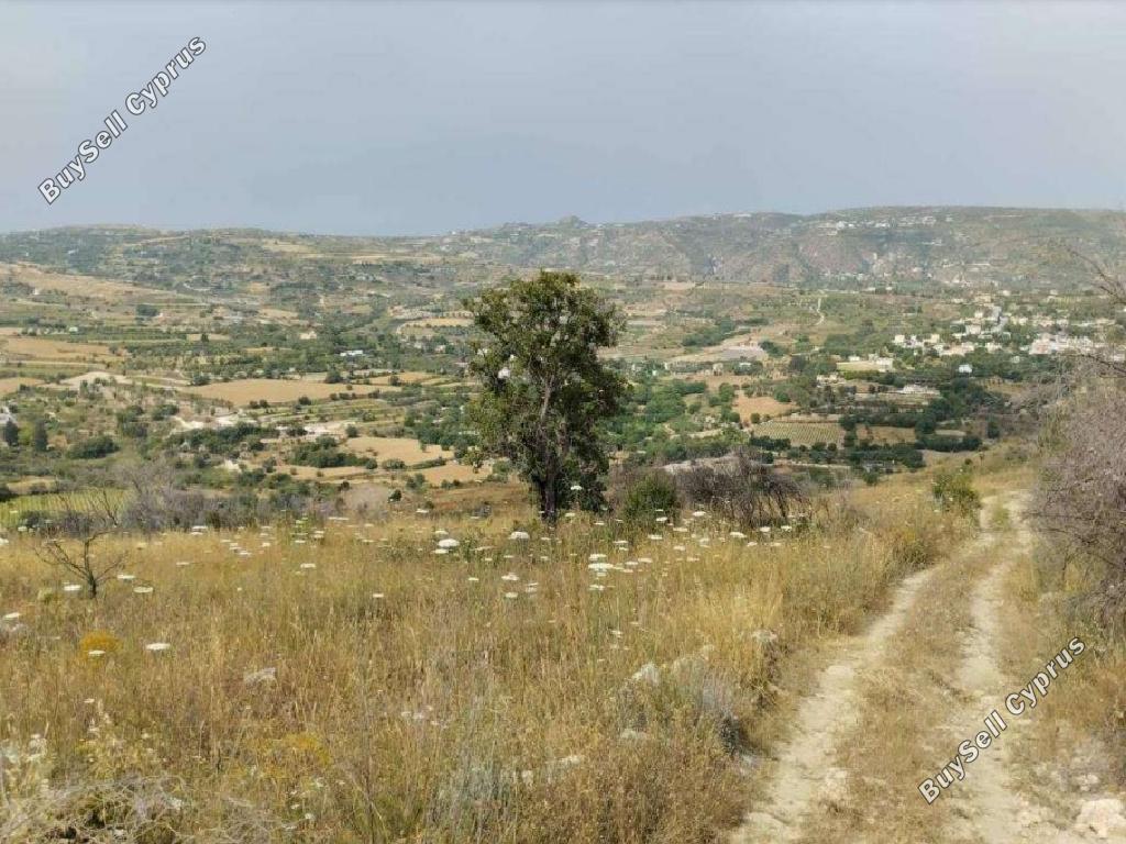 7024 SQM Land for sale in Giolou, Paphos 15602103