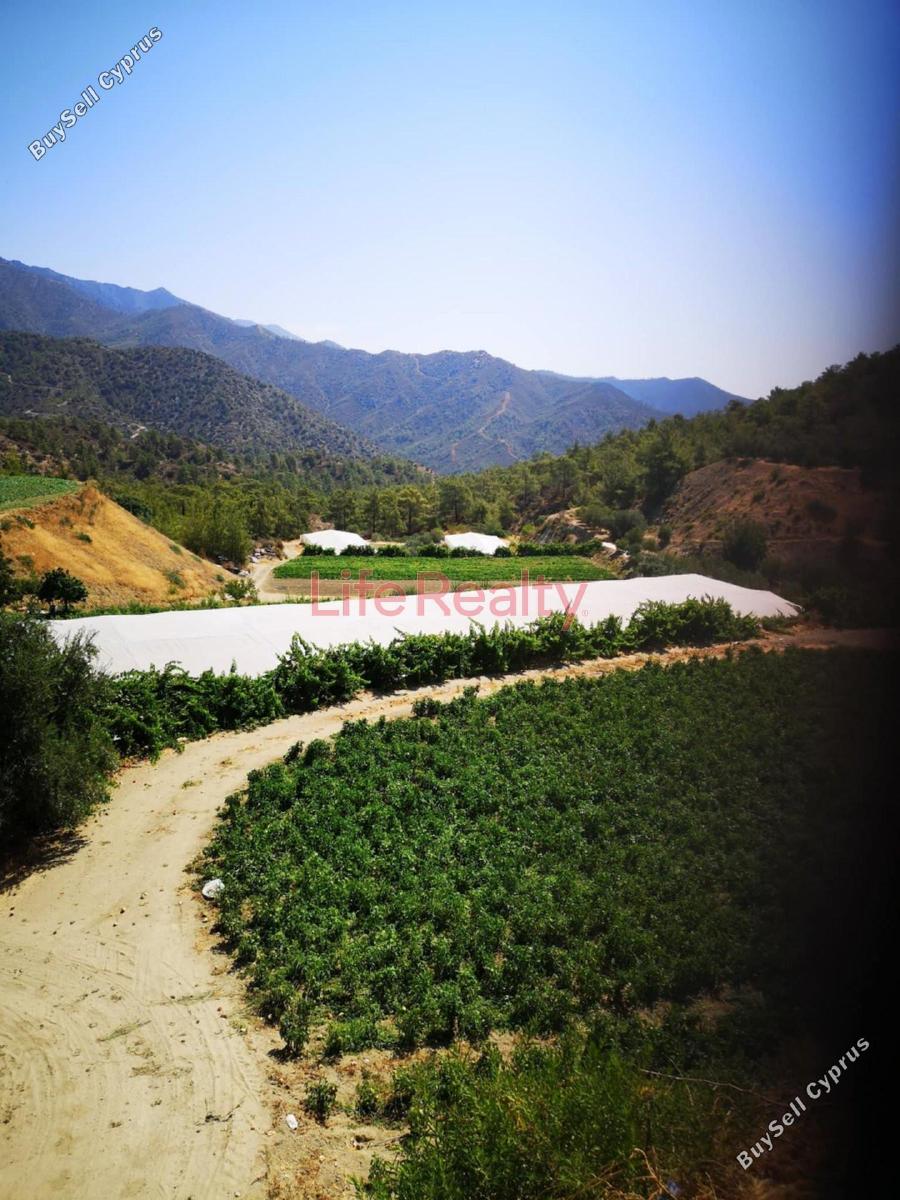 land for sale arakapas limassol 1861407 image 9325096