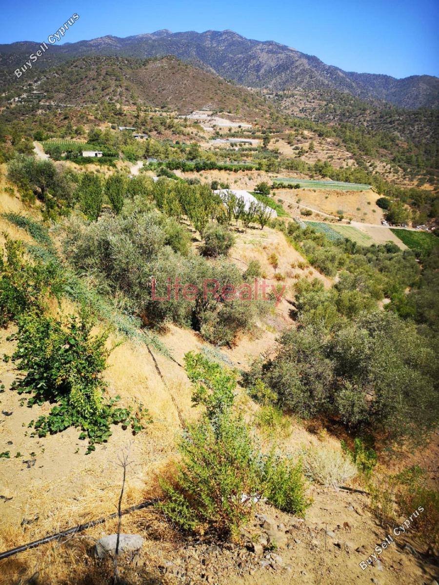land for sale arakapas limassol 1861407 image 9325097