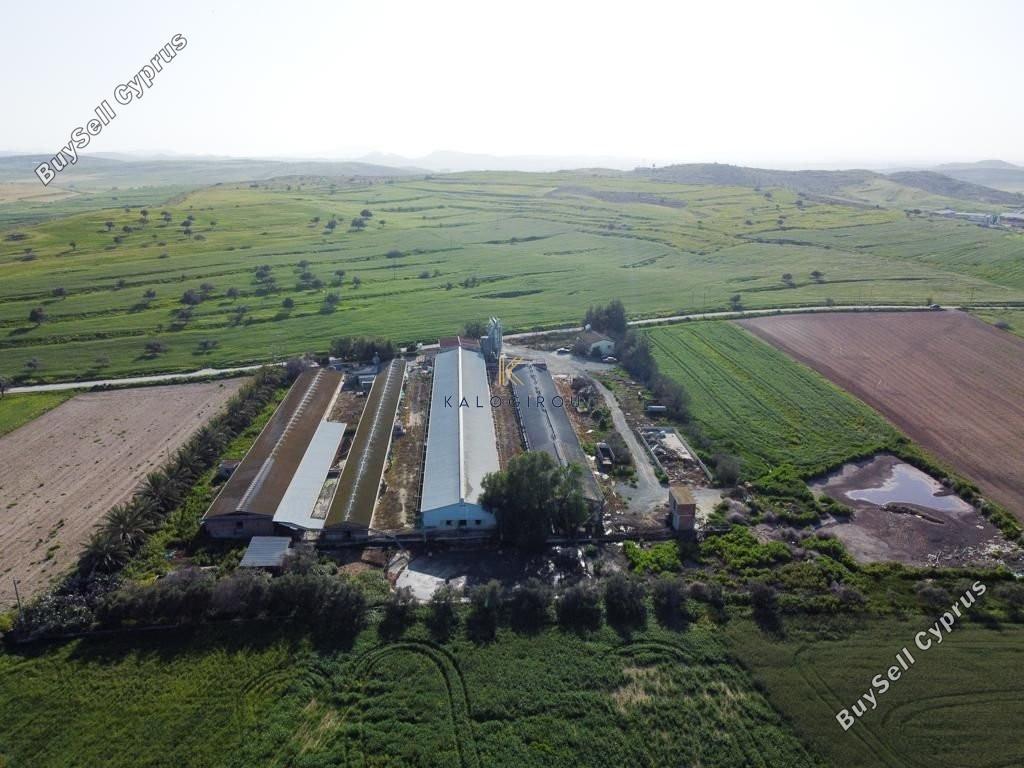 studio warehouse for sale petrofani larnaca 1211407 image 14351548