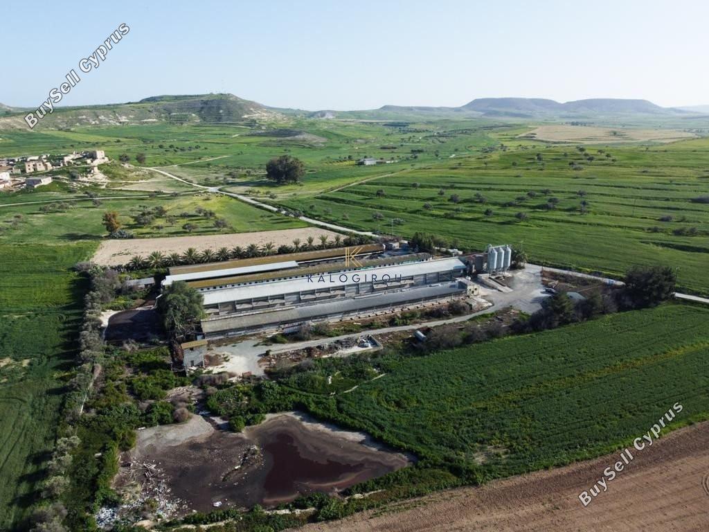 studio warehouse for sale petrofani larnaca 1211407 image 14351550