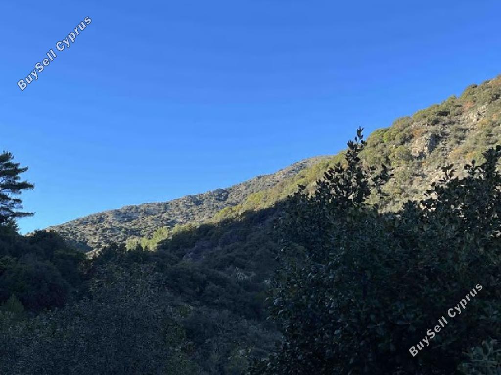 land for sale palaichori morfou nicosia 1689507 image 17420346
