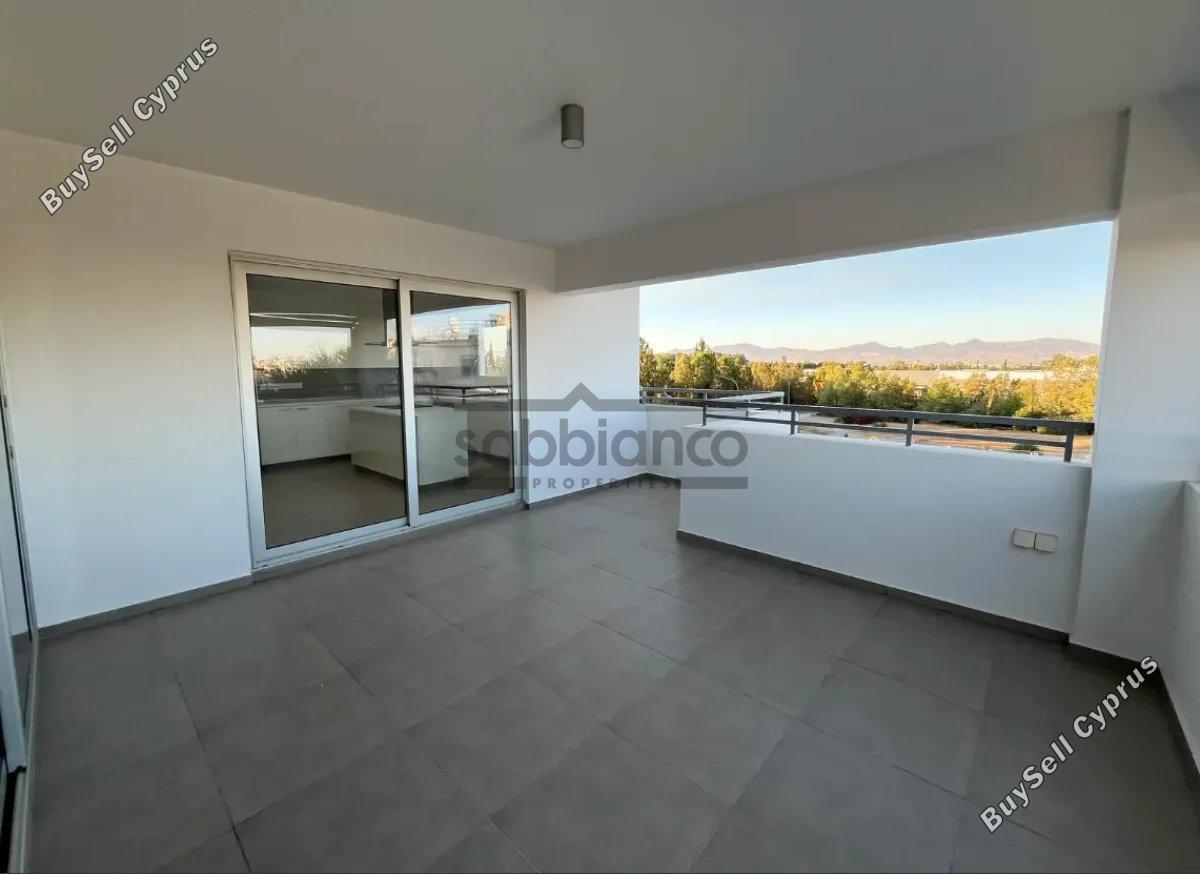 2 bedroom apartment for rent strovolos nicosia 8748607 image 16466865