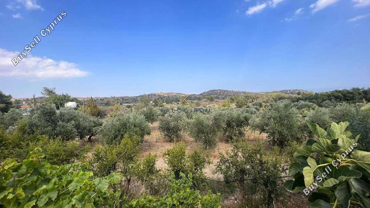 2 bedroom detached house for rent anglisides larnaca 1500607 image 17209475