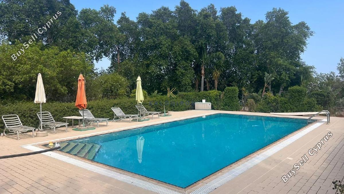 2 bedroom detached house for rent anglisides larnaca 1500607 image 17209511