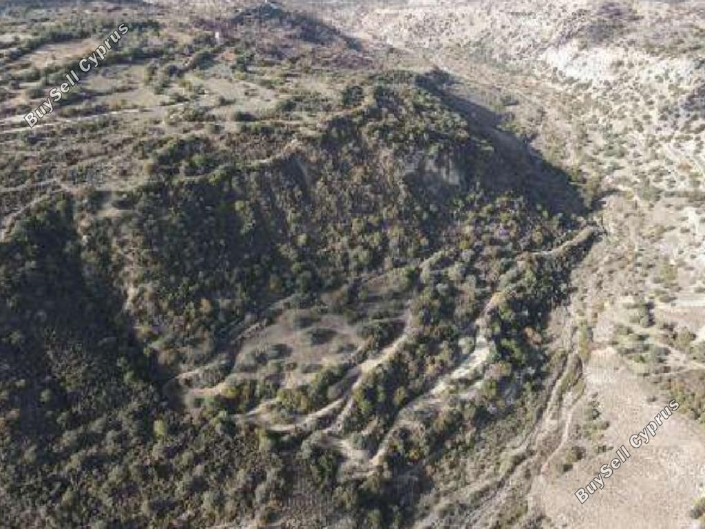 land for sale choulou paphos 1638607 image 15598090