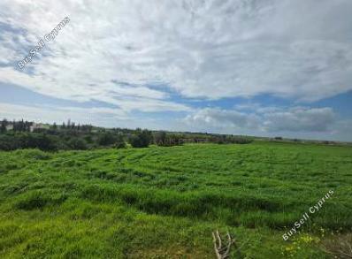 land for sale frenaros famagusta 8716607 image 16301381
