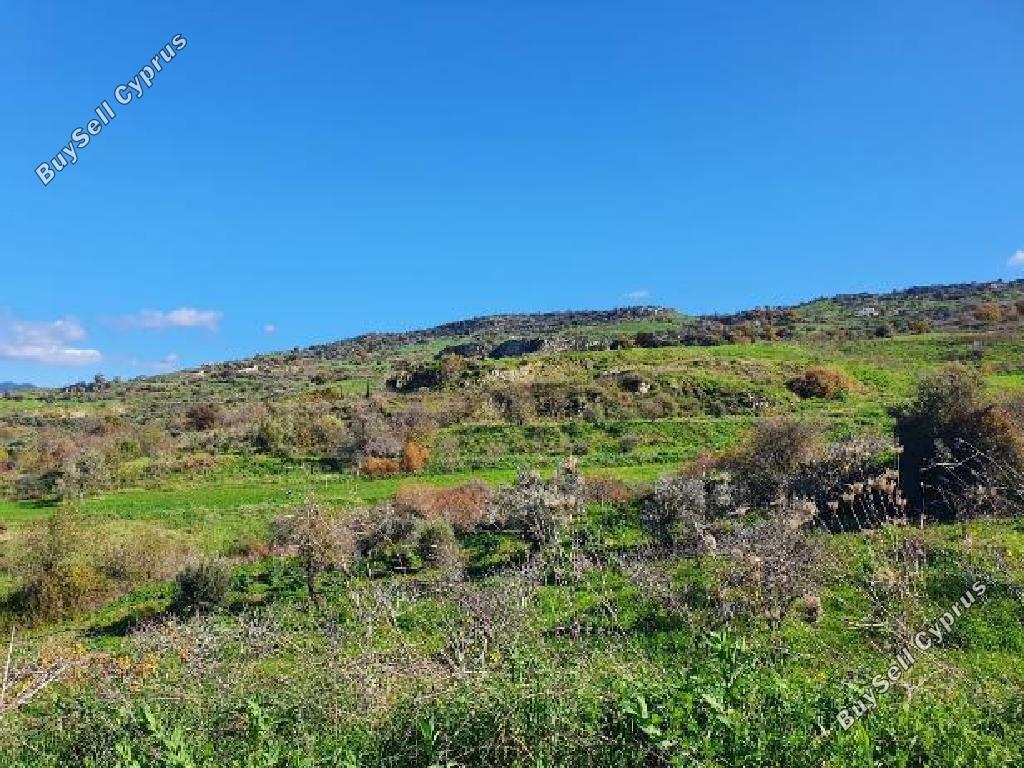 land for sale lasa paphos 1443607 image 15598606