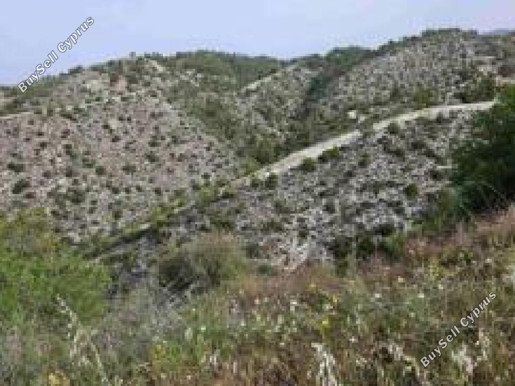 land for sale pentalia paphos 7703607 image 15596688