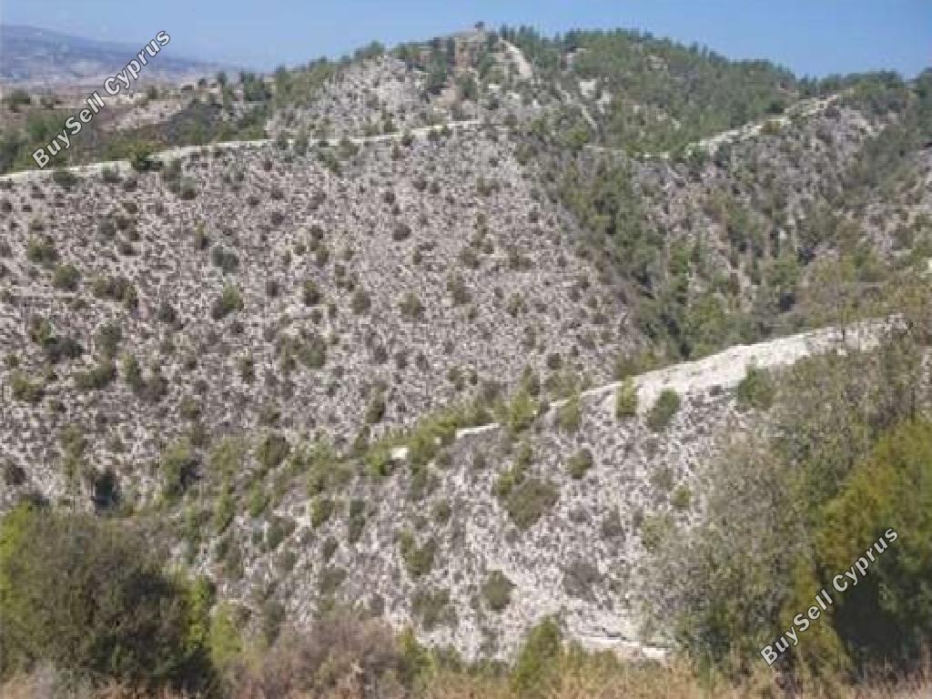 land for sale pentalia paphos 7703607 image 17420311