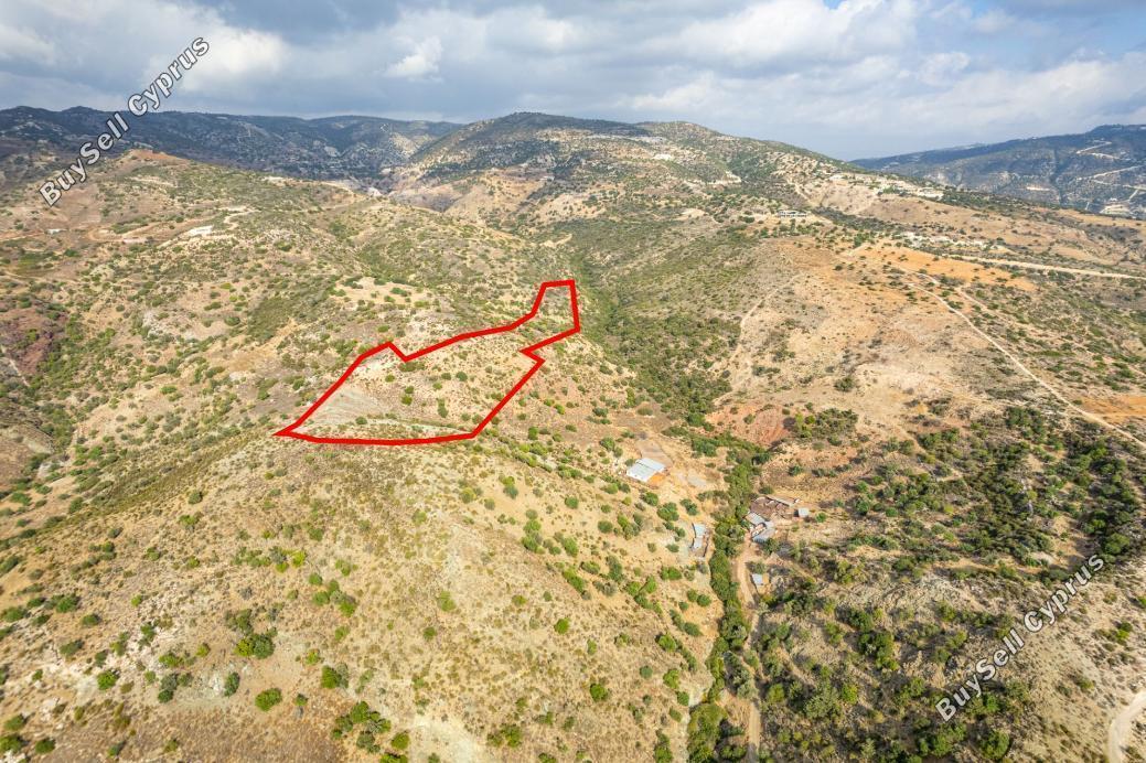 land for sale peyia paphos 839807 image 7332121