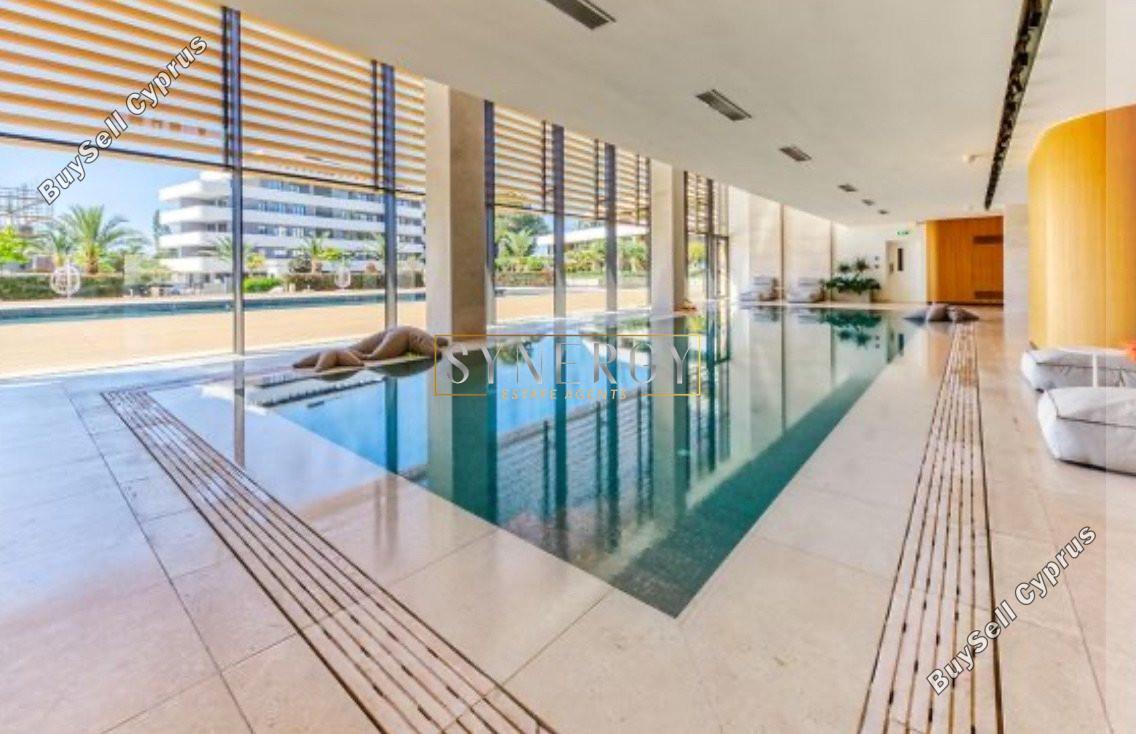 1 bedroom apartment for rent potamos germasogeias limassol 1215907 image 16338298