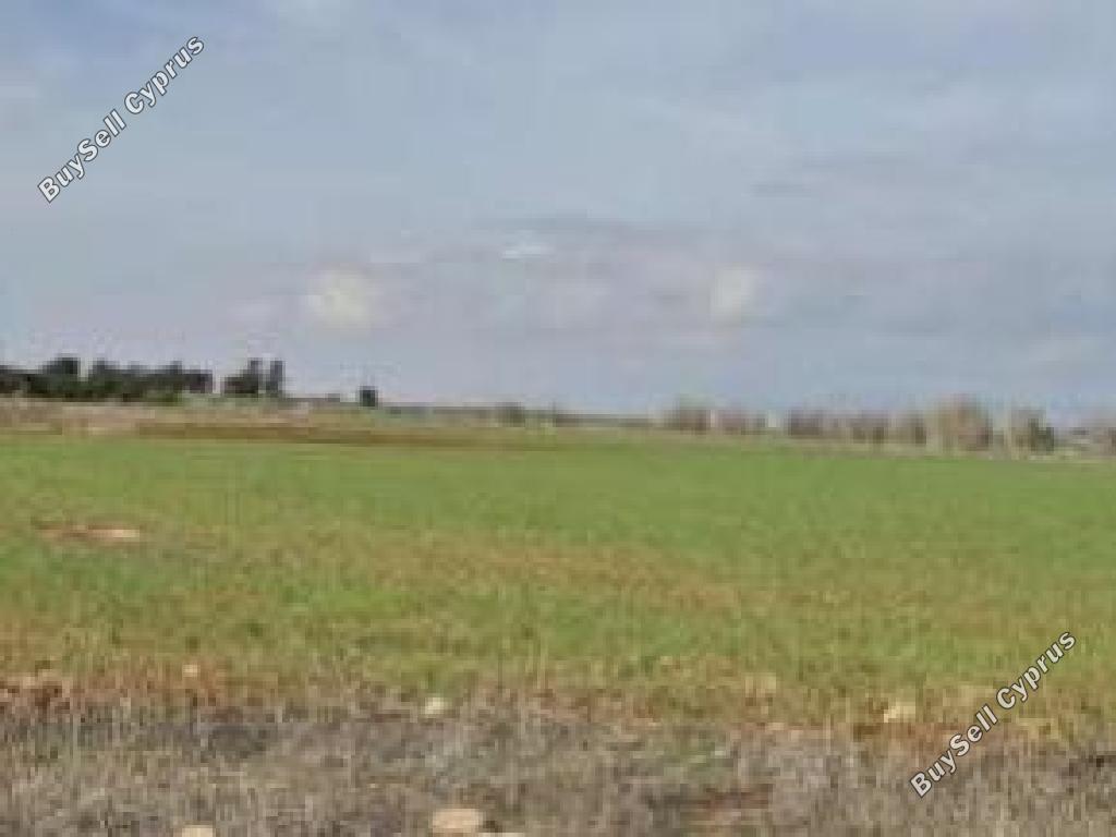 land for sale frenaros famagusta 8804907 image 16803923