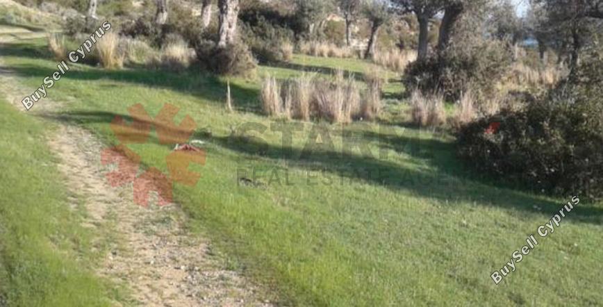 land for sale pissouri limassol 8879907 image 17253109