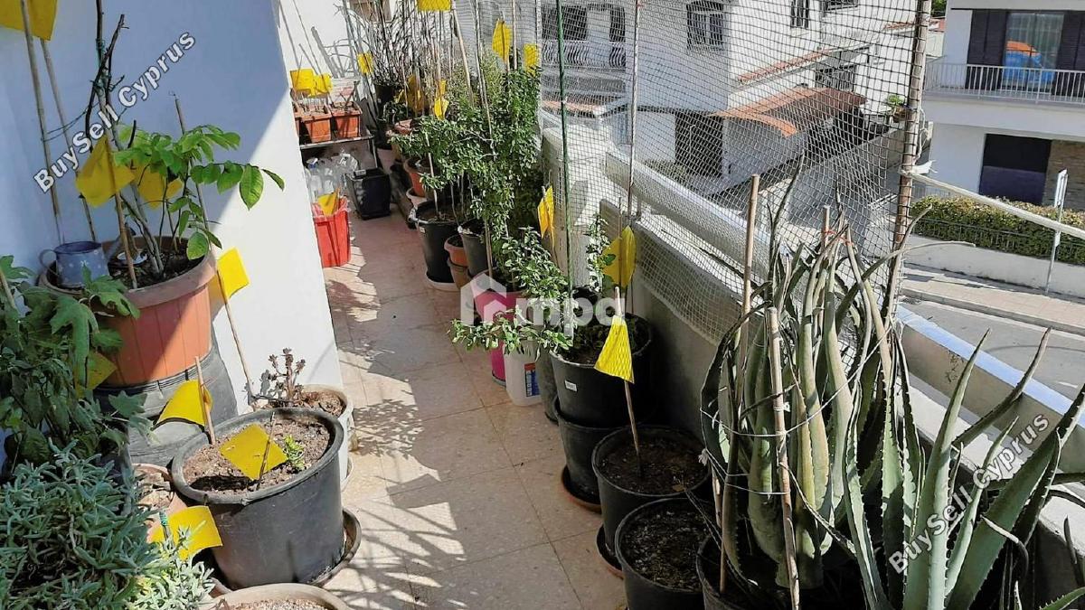 3 bedroom apartment for sale acropolis nicosia 1730117 image 5554423