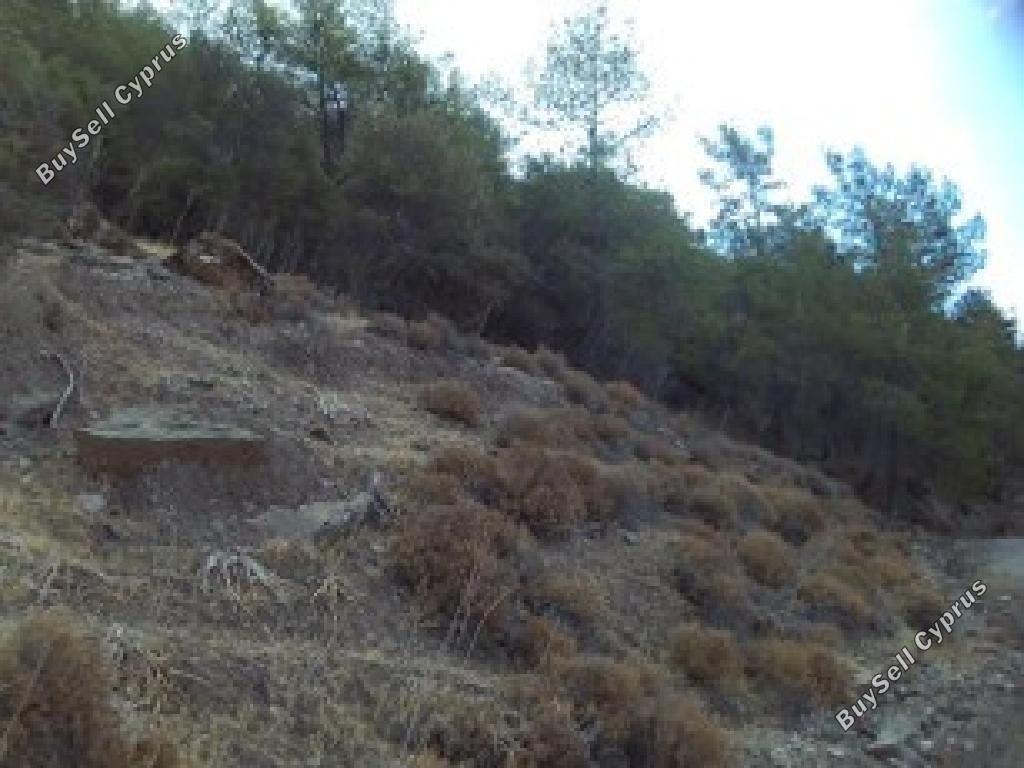 land for sale salamiou paphos 1785117 image 17601028