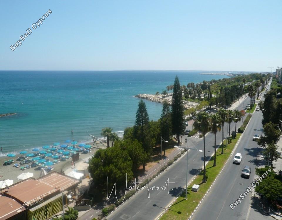 3 bedroom apartment for rent kato paphos paphos 8959217 image 17779236