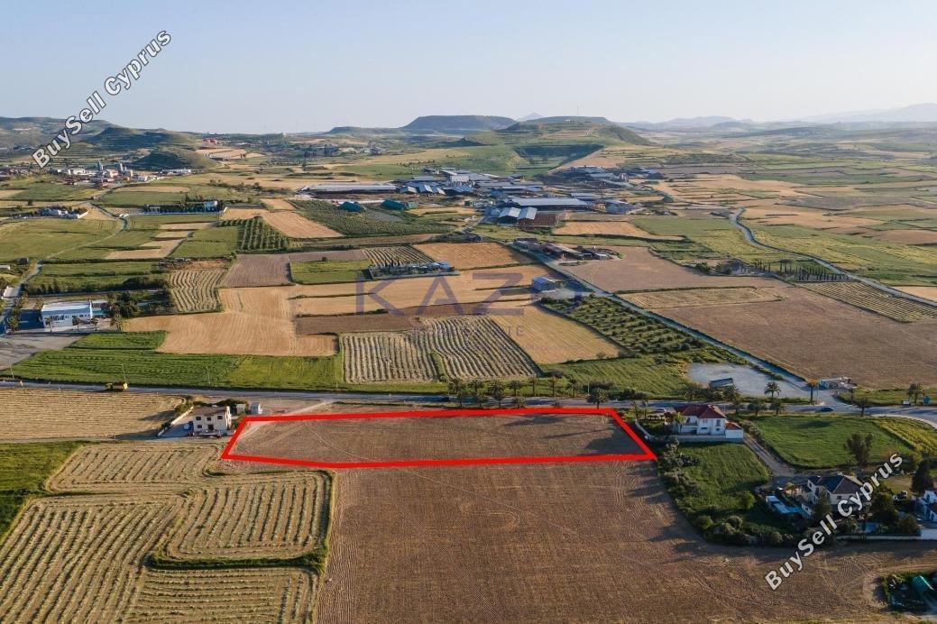 land for sale athienou larnaca 1736217 image 15904206