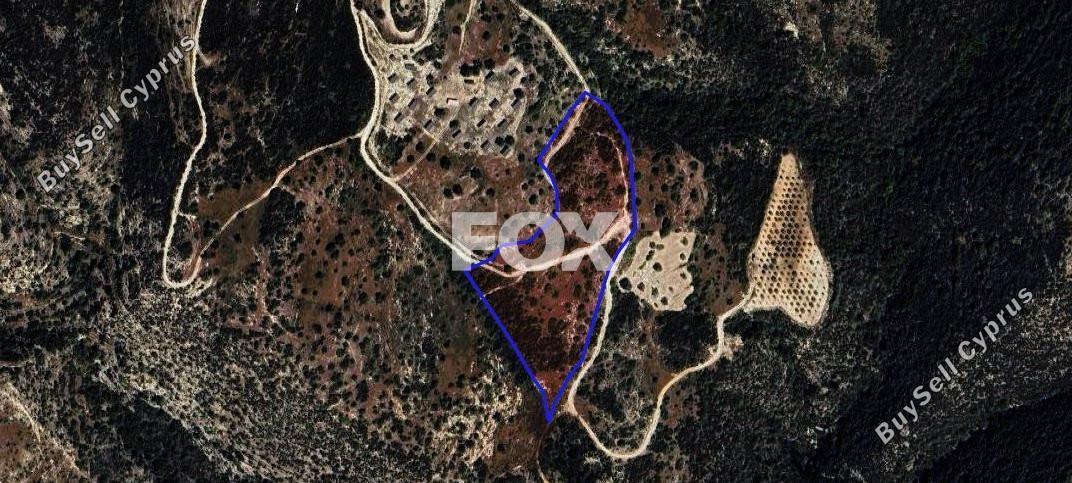 land for sale koili paphos 1301317 image 5588955