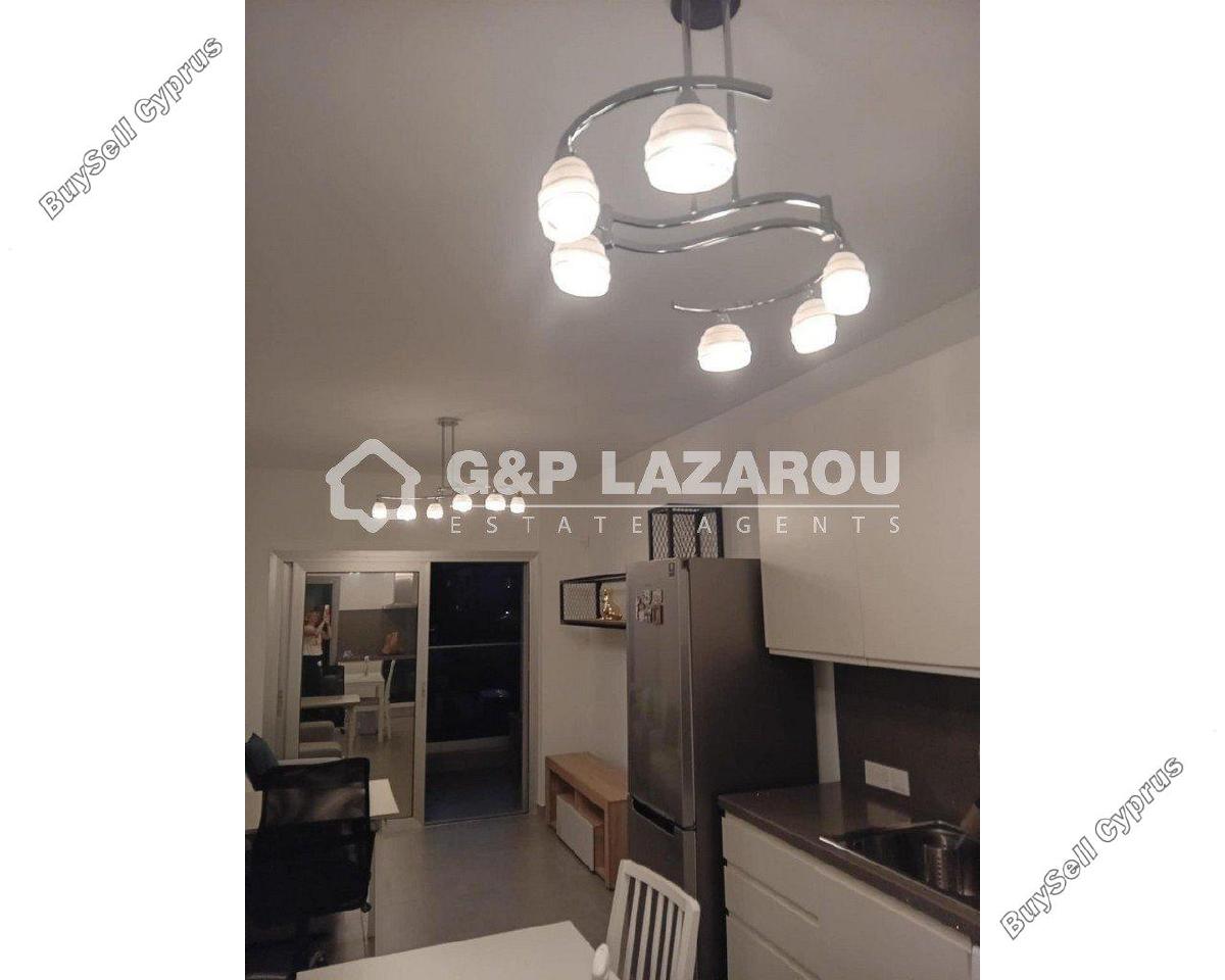 1 bedroom apartment for rent aglantzia nicosia 8106417 image 16335101