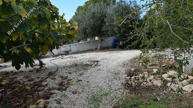3 bedroom detached house for sale coral bay paphos 1684417 image 5183863
