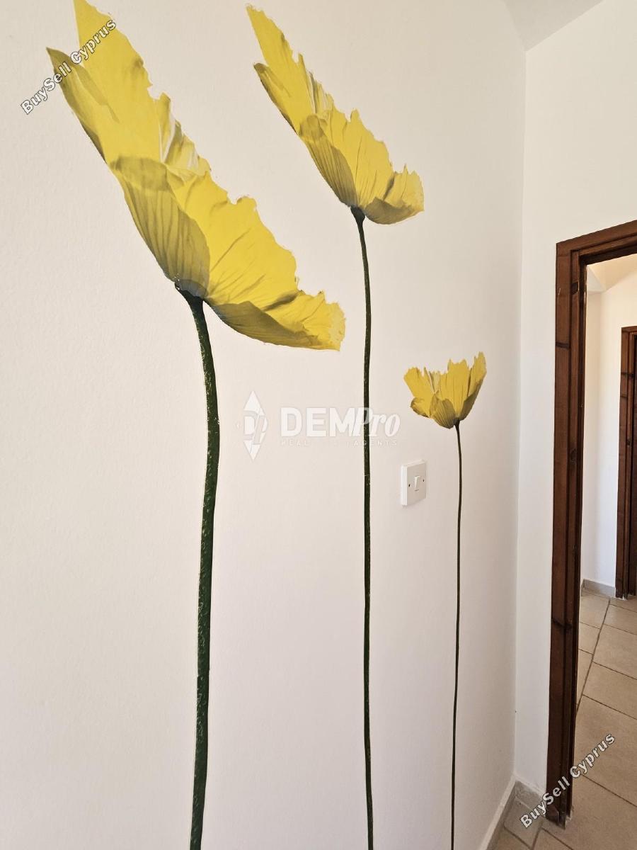 3 bedroom detached house for sale saint george peyia paphos 7812417 image 16553501