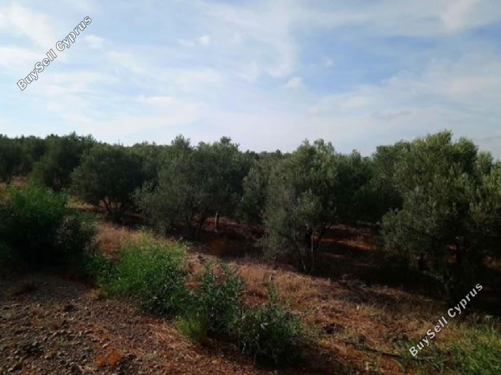 land for sale astromeritis nicosia 946417 image 3353335