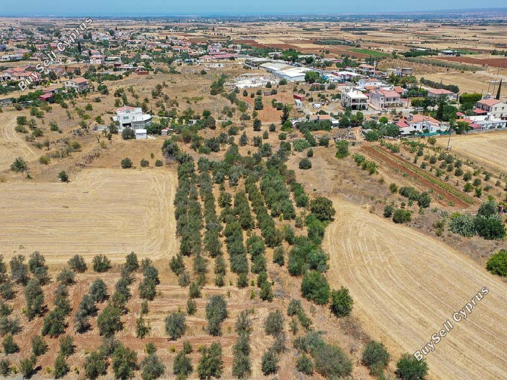land for sale astromeritis nicosia 946417 image 3353349