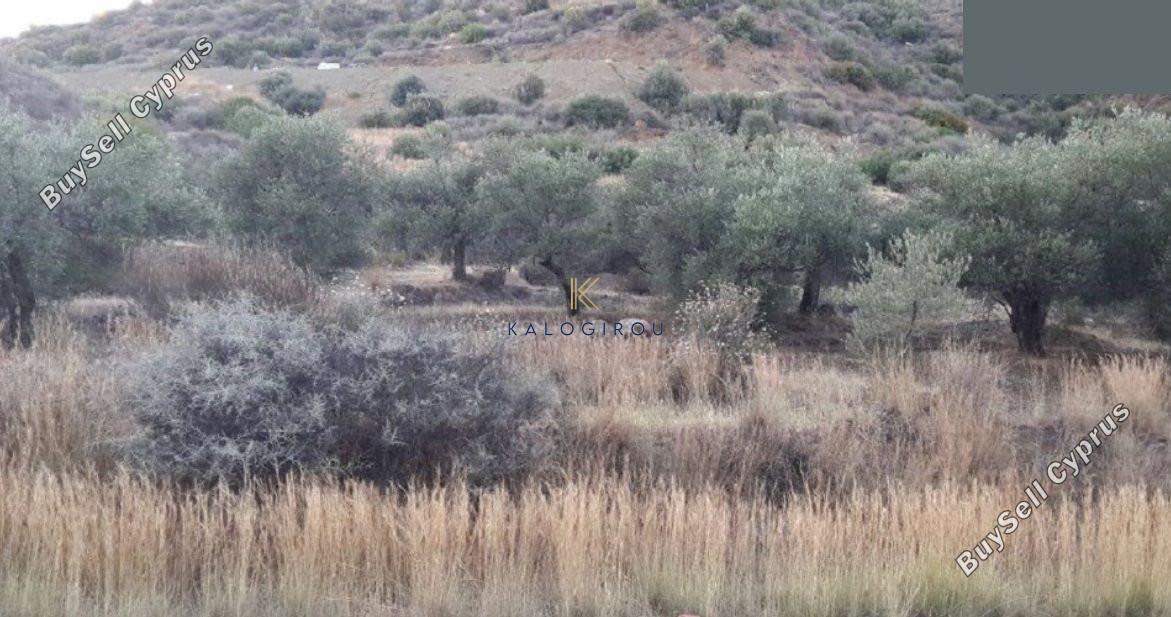 land for sale ora larnaca 1196417 image 5595874