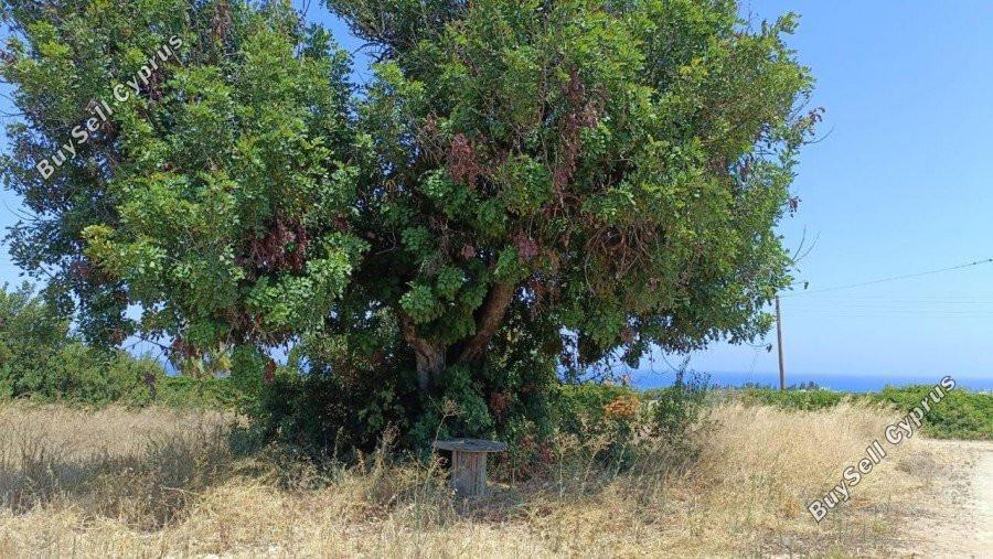 plot for sale neo chorio paphos 8237417 image 14228820