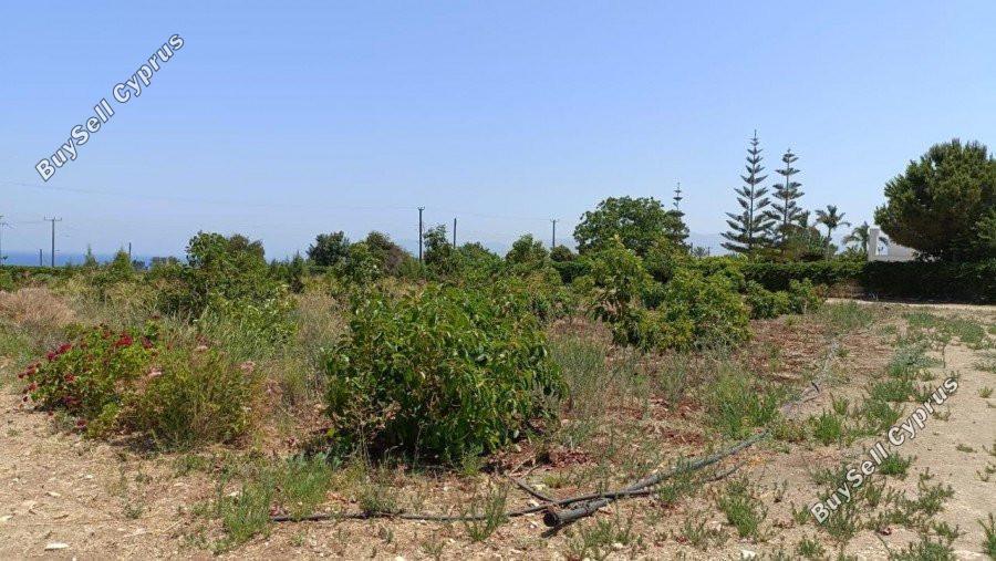 plot for sale neo chorio paphos 8237417 image 14228821