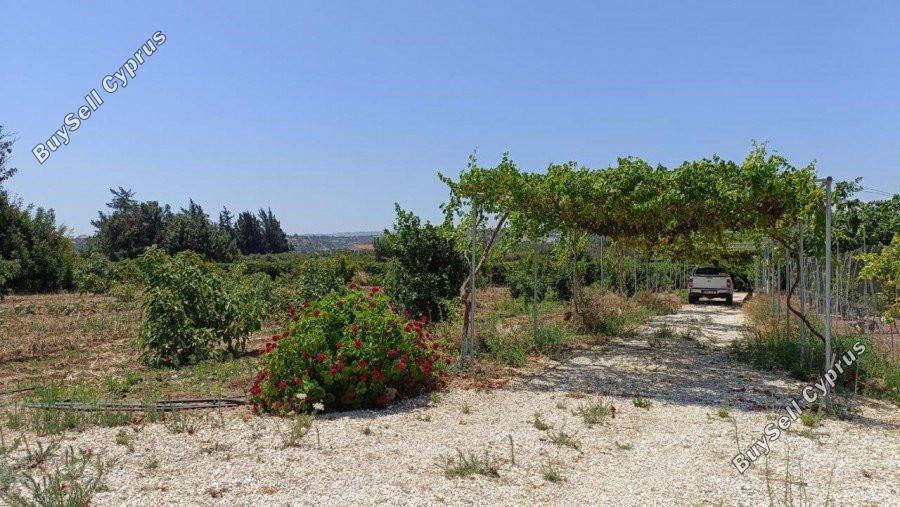 plot for sale neo chorio paphos 8237417 image 14228823