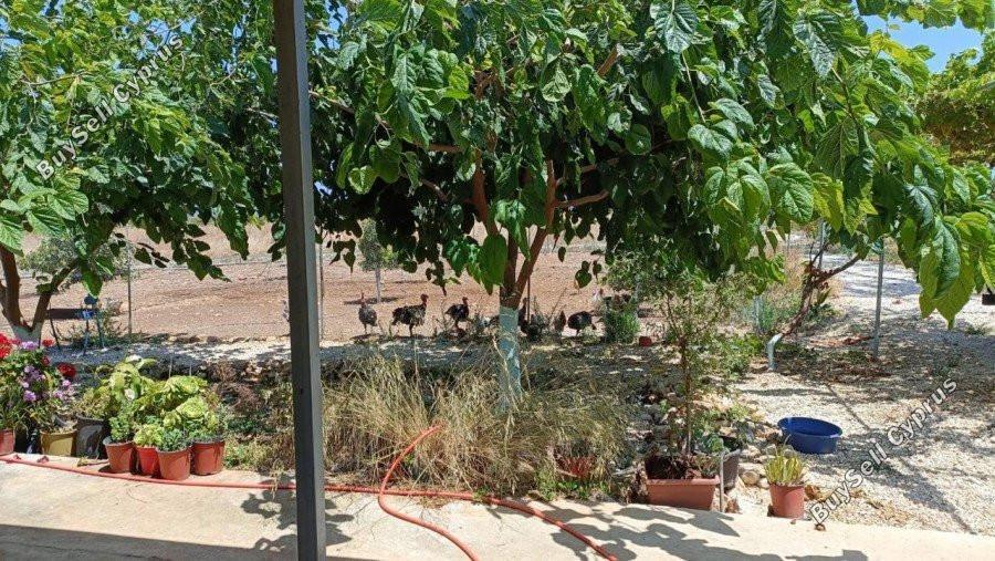plot for sale neo chorio paphos 8237417 image 14228824