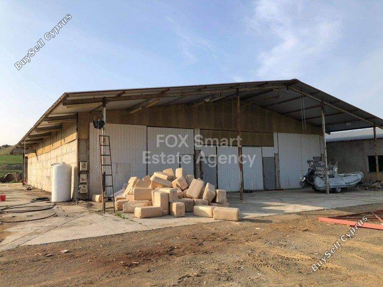 studio warehouse for rent kato koutrafas nicosia 1153517 image 12677395