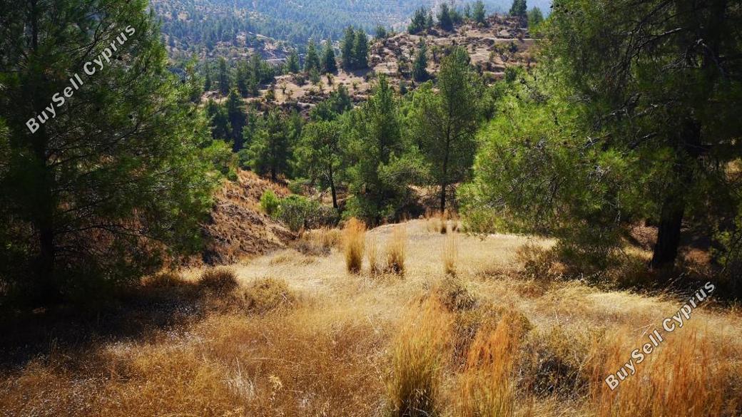 land for sale agios theodoros soleas nicosia 839617 image 2891939
