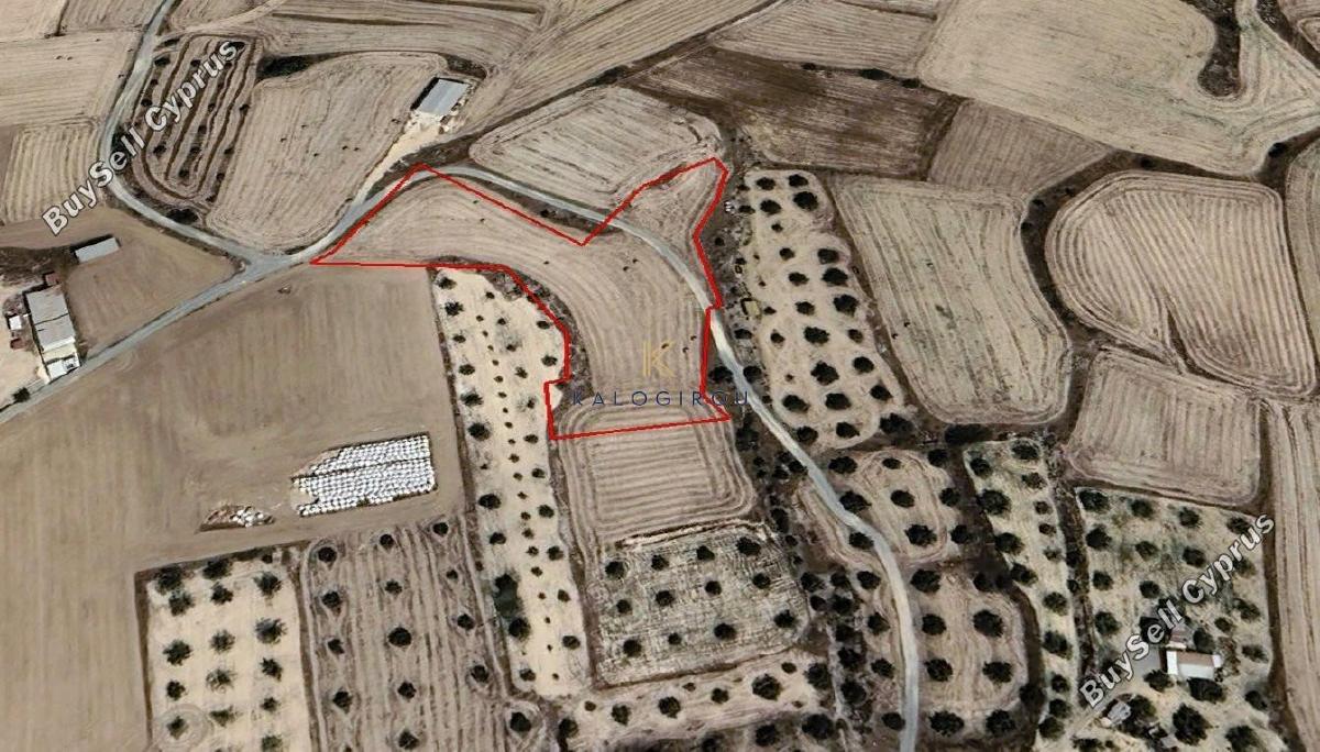 land for sale athienou larnaca 1417617 image 5647307
