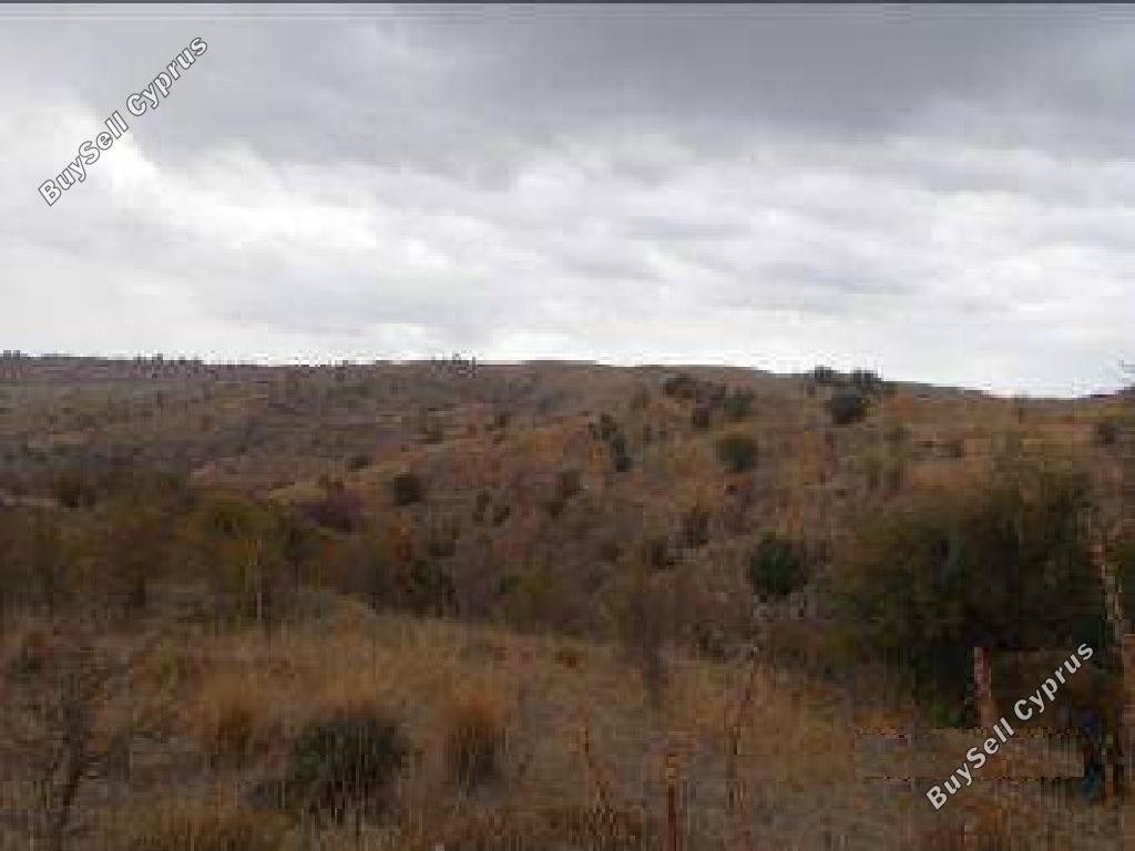 10368 SQM Land for sale in Statos Agios Fotios, Paphos 15600260