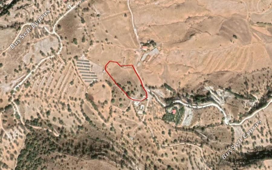 1750 SQM Land for sale in Nata, Paphos 16685797
