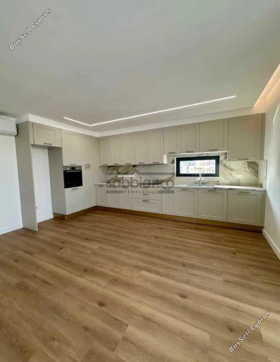 2 bedroom apartment for rent strovolos nicosia 8752717 image 16505243
