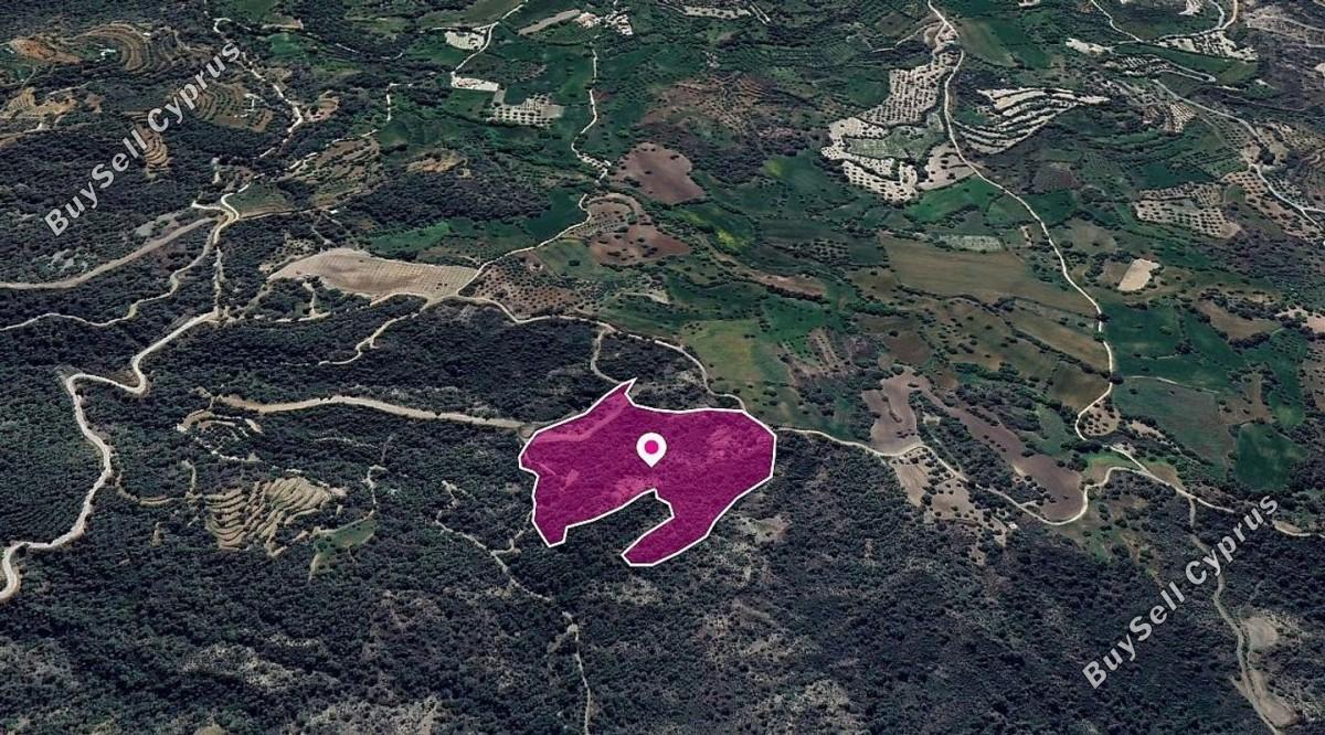 land for sale lysos paphos 8629717 image 15869624