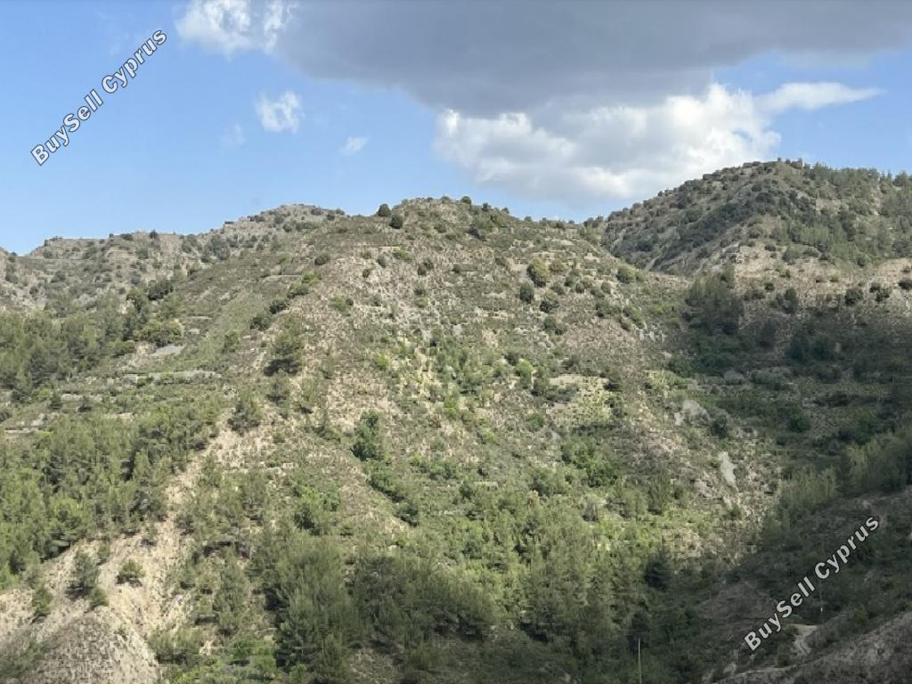 land for sale palaichori oreinis nicosia 1174717 image 3361551