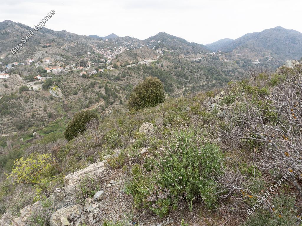 land for sale palaichori oreinis nicosia 1174717 image 3361563