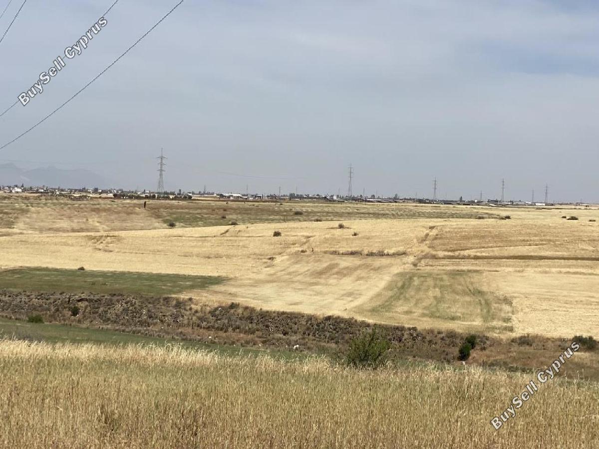 land for sale potami nicosia 8726717 image 16333513