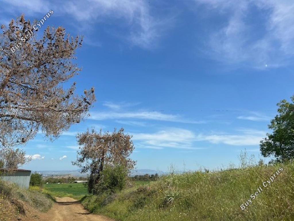 land for sale agios theodoros soleas nicosia 1362817 image 15599390