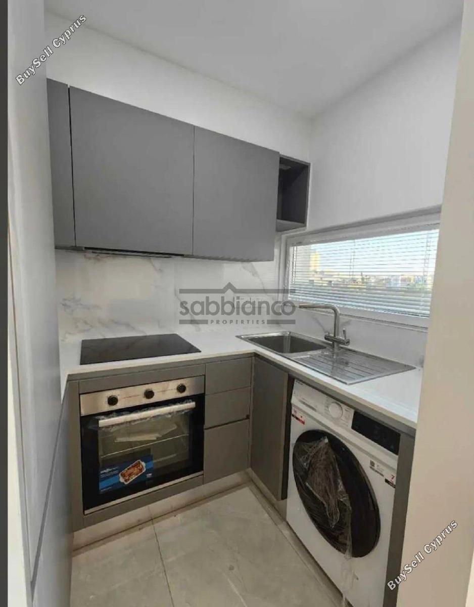 1 bedroom apartment for rent chrysopolitissa larnaca 8747917 image 16458408