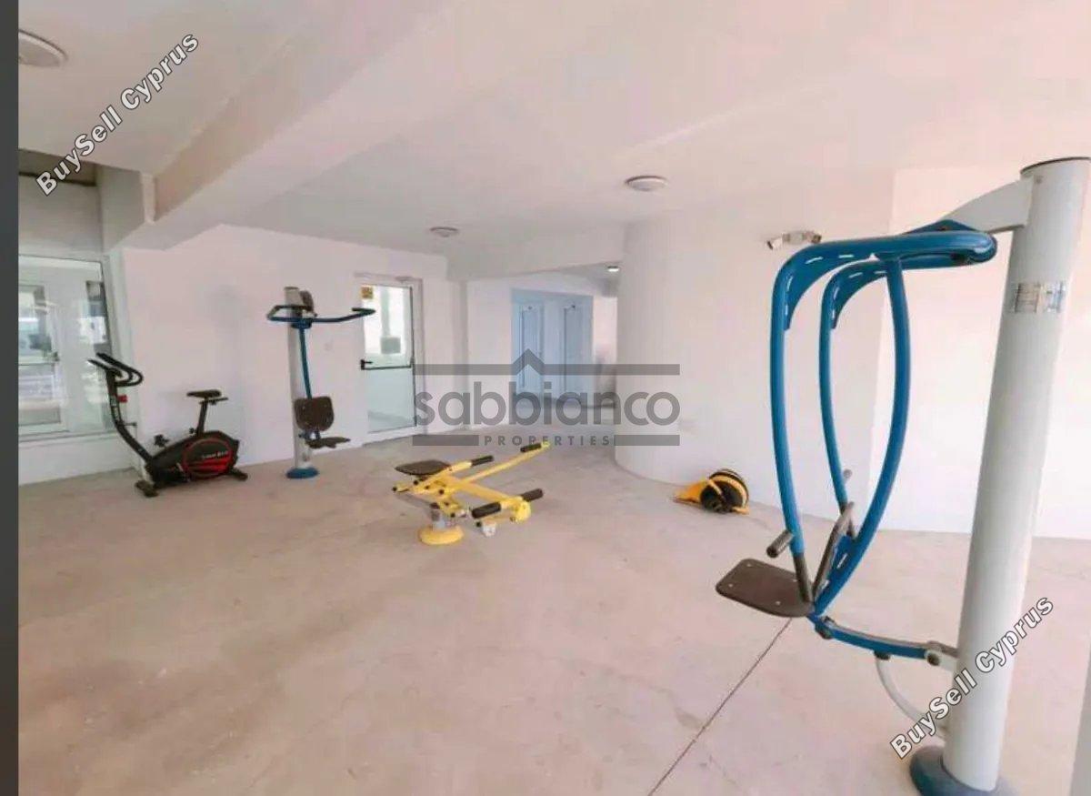 1 bedroom apartment for rent chrysopolitissa larnaca 8747917 image 16458416