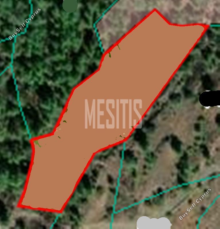 land for sale kapedes nicosia 974917 image 10471421