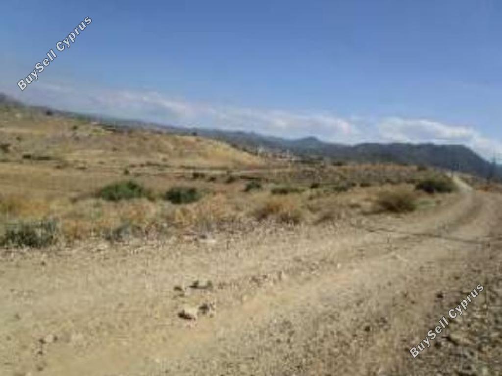 land for sale nikitari nicosia 945917 image 16700903