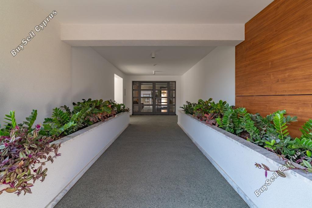 2 bedroom apartment for rent potamos germasogeias limassol 8711027 image 16274362