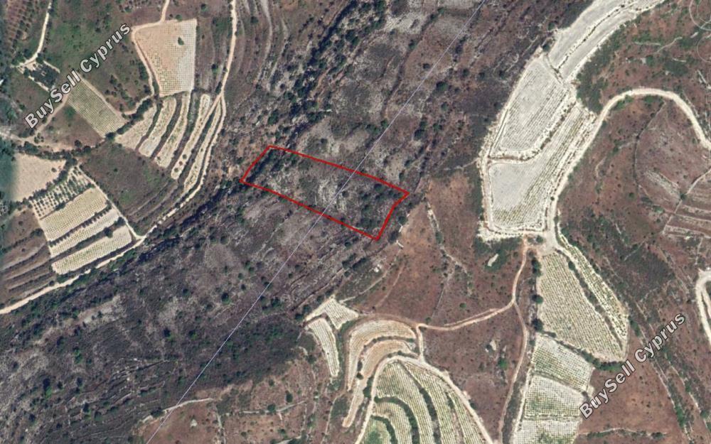 8696 SQM Land for sale in Praitori, Paphos 2809379